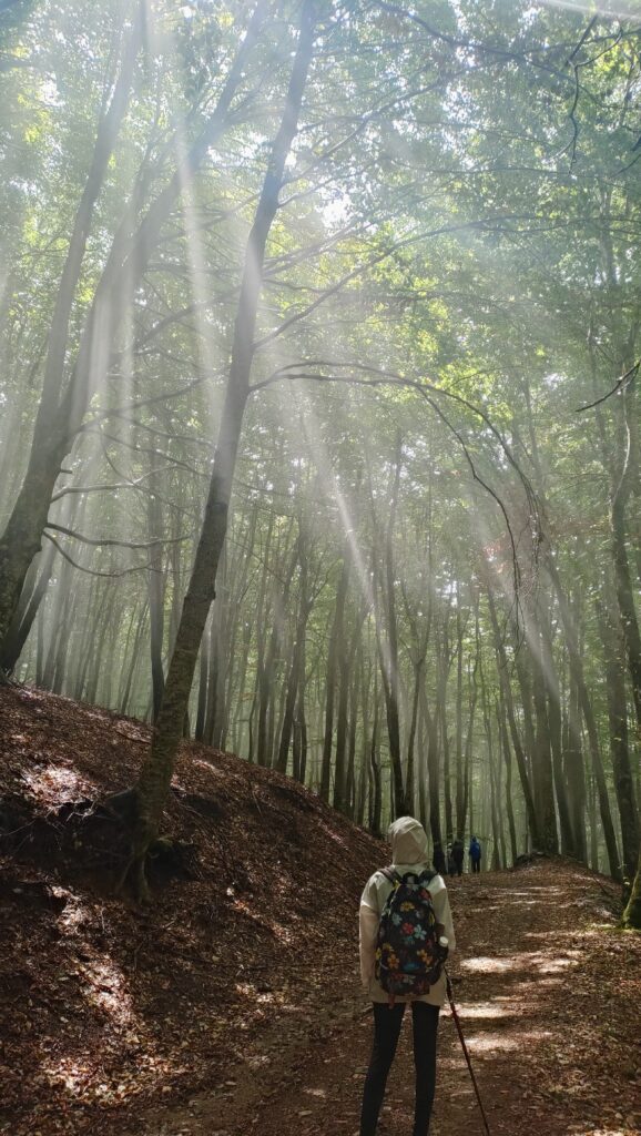 LA VIA DELL'EREMITA Paterno Calabro - Paola (bidirezionale)
